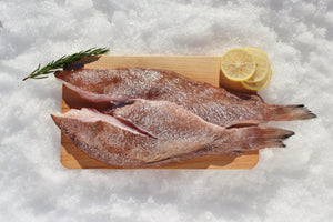 Grouper (Fillets) - Katies Seafood Market