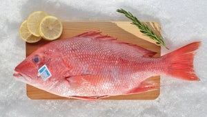 Red Snapper (Whole) - Katies Seafood Market