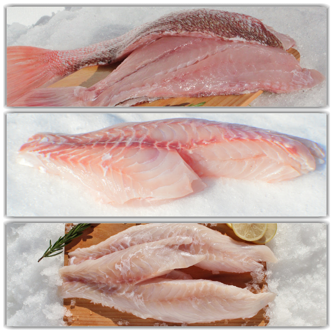 Fish (Fillets)