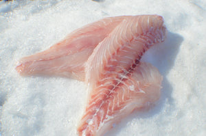 Red Snapper (Fillets) - Katies Seafood Market