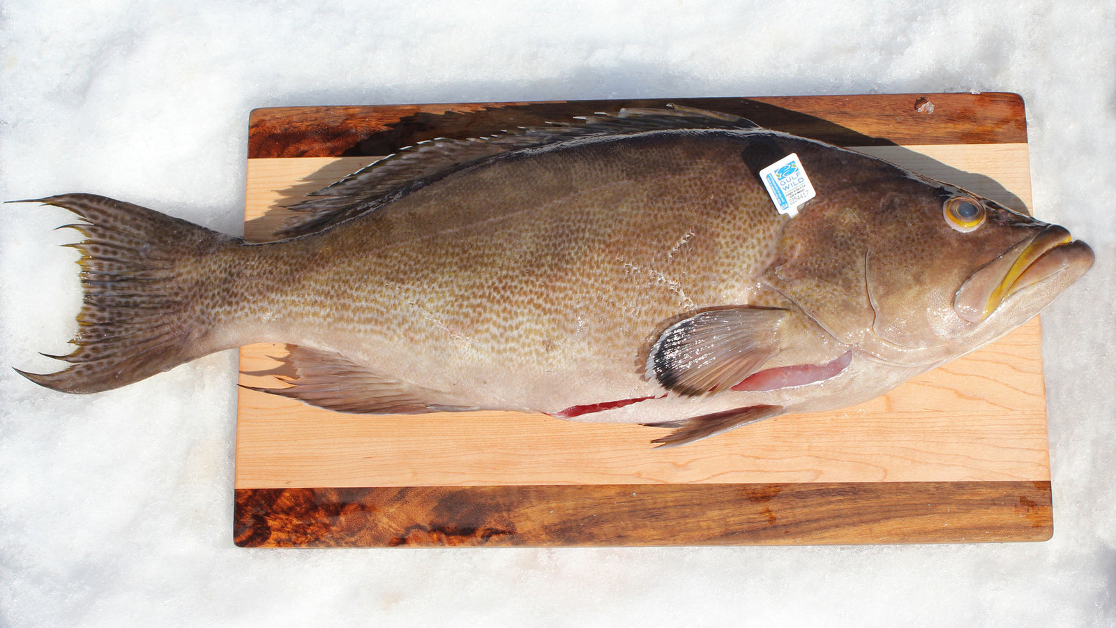 Whole red snapper near me
