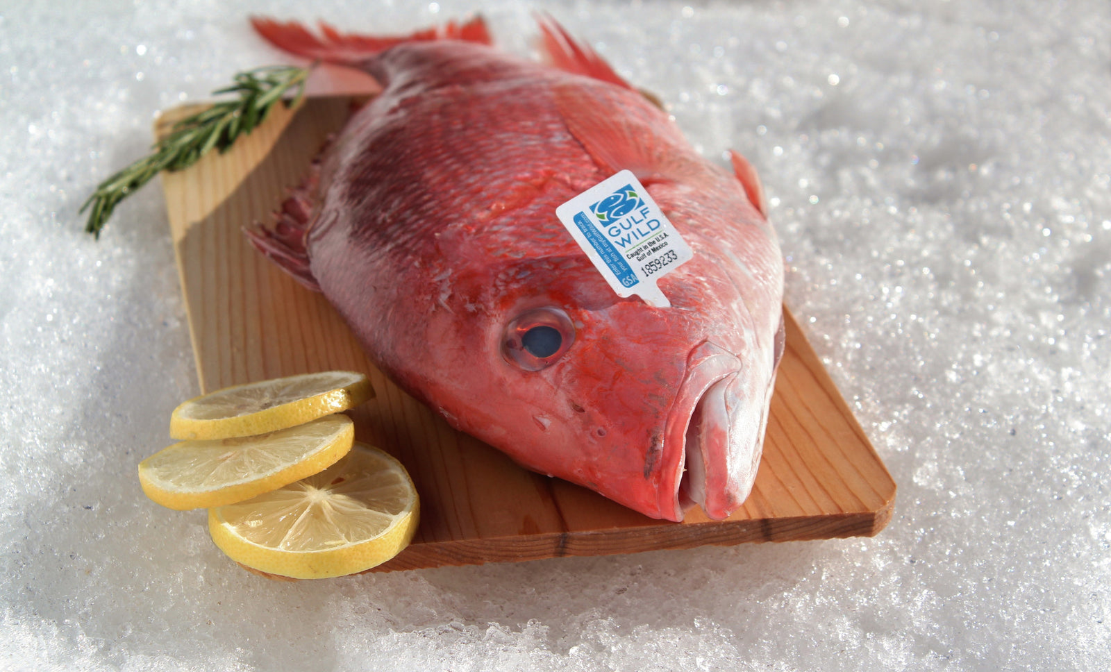 22 Inch Red Snapper Red Snapper (Whole) - Katies Seafood Market