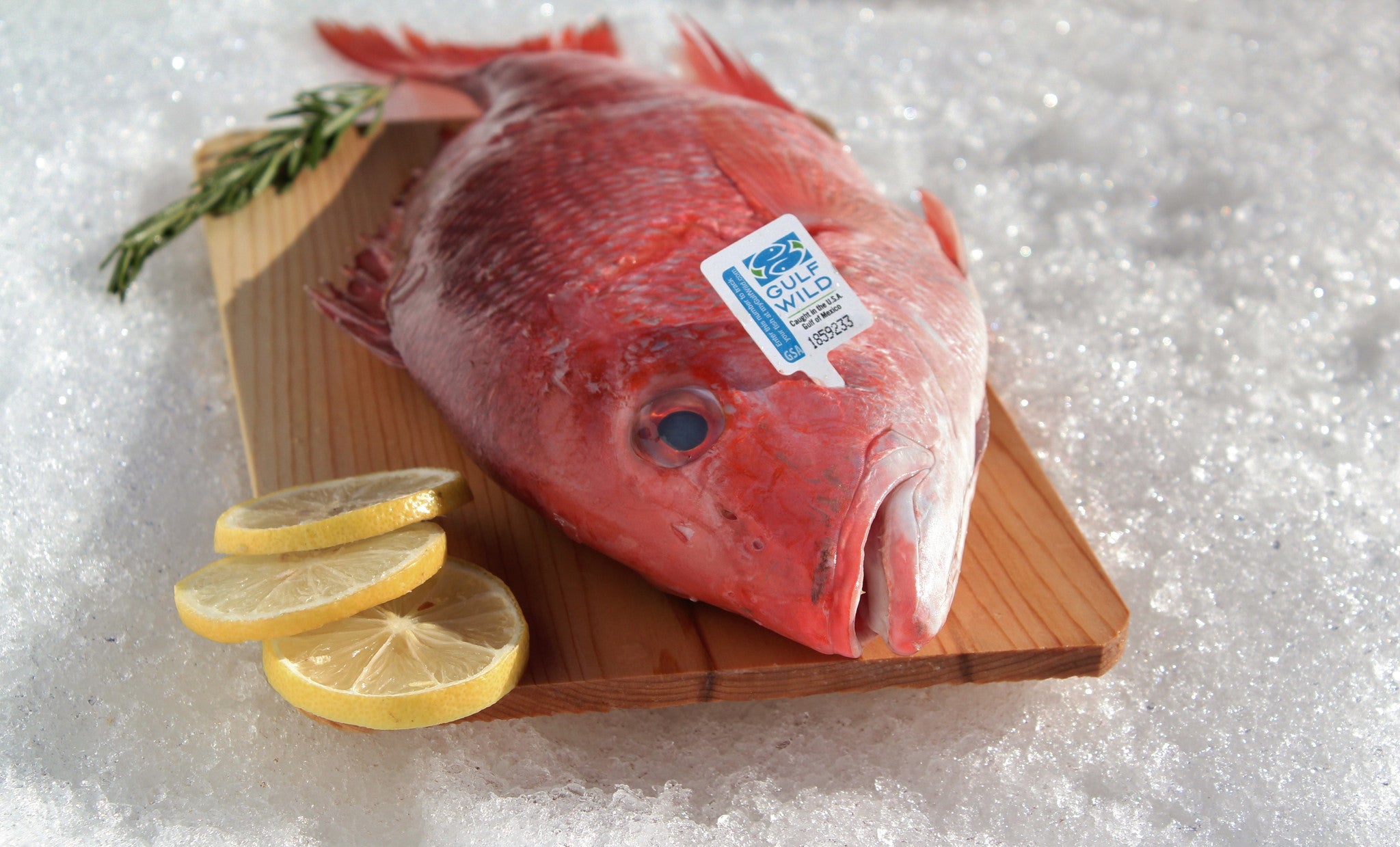 Red Snapper (Whole) - Katies Seafood Market