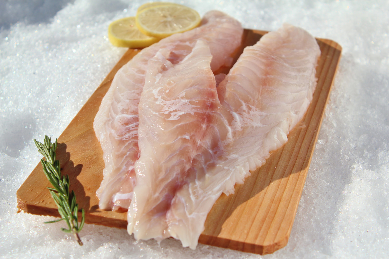Red Snapper (Fillets) - Katies Seafood Market