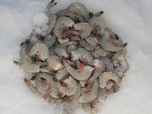 Large Head Off Shrmip 21/25T - Katies Seafood Market